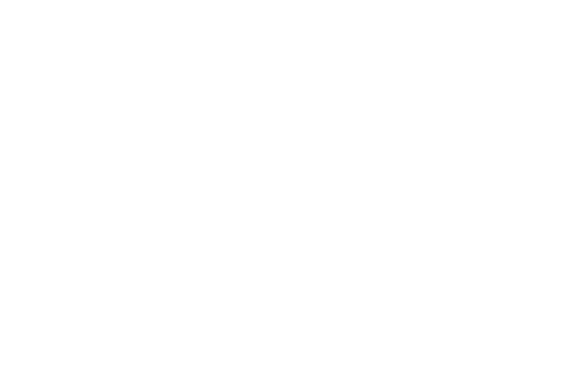 Logo der Scalero Agency: ein Löwe über aufsteigenden Balken